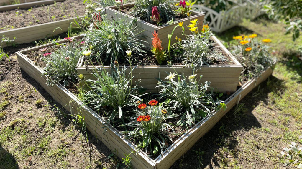 82 (1) (1).jpg 82 (1) (1).jpg